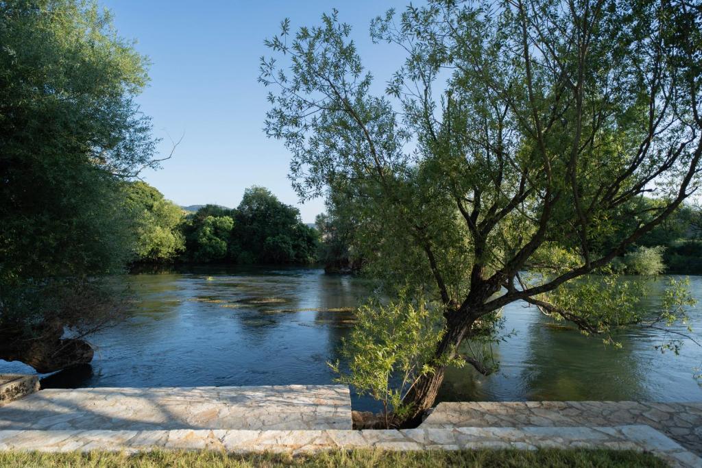 Villa Zulfikar garden overlooking river Buna in Blagaj